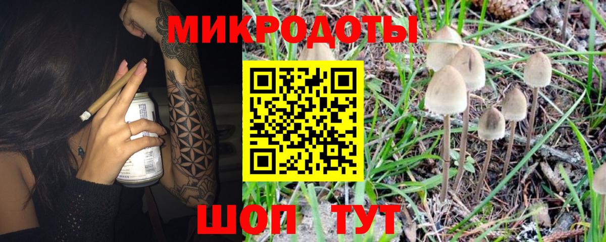 Псилоцибиновые грибы GOLDEN TEACHER Свободный