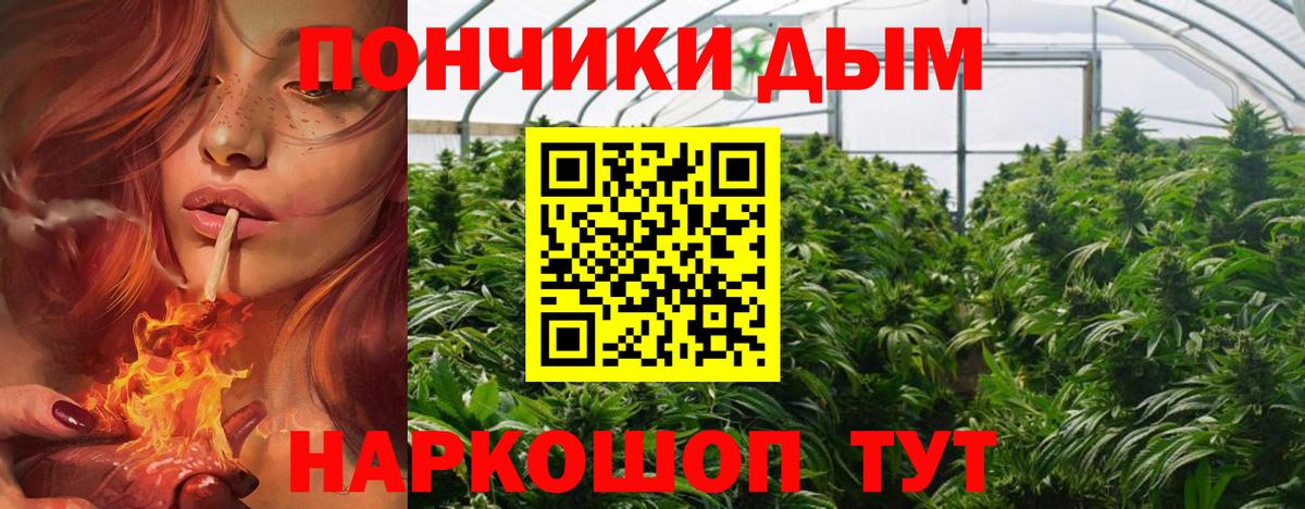 МАРИХУАНА White Widow  Марихуана планчик  Вход с VPN  Свободный  Марихуана OG Kush  Бошки Шишки Bruce Banner 